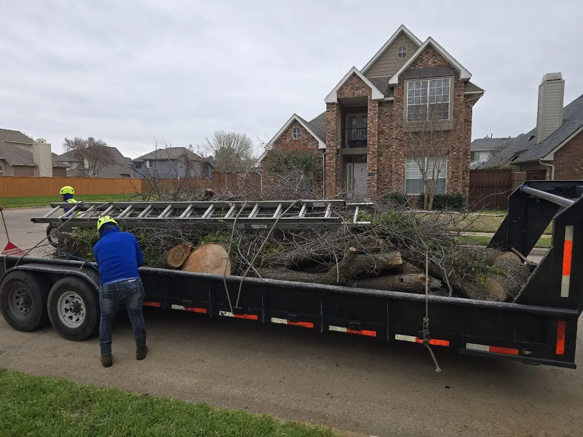 Expert Lot Clearing with proper safety equipment in Sandy Hook